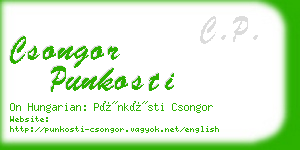 csongor punkosti business card